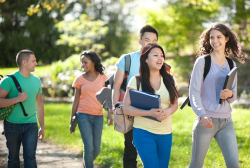 泰萊大學地理位置